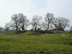 Brandon Castle